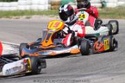 20110501_ales_agnus (3491)